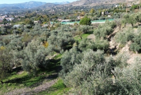 Órgiva 7949&nbsp;м²