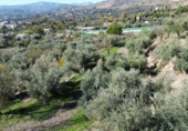 Non-developable land for sale in Órgiva ref: TR369253 photo