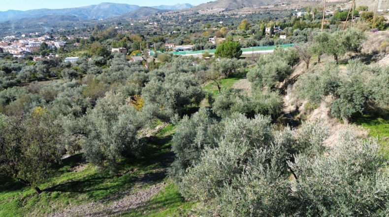 Granada - Órgiva - 7949m2