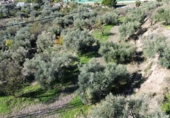 Non-developable land for sale in Órgiva ref: TR369253 photo