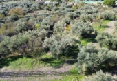 Non-developable land for sale in Órgiva ref: TR369253 photo
