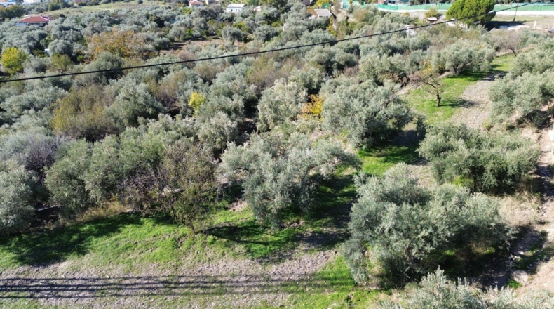 Granada - Órgiva - 7949m2