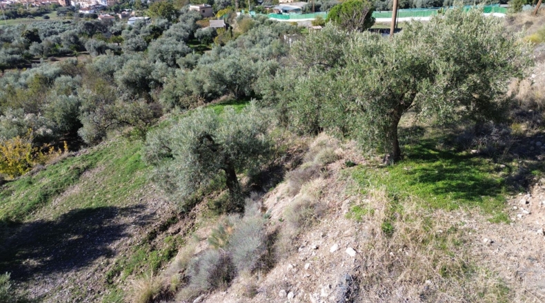 Granada - Órgiva - 7949m2