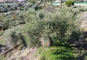 Non-developable land for sale in Órgiva ref: TR369253 photo