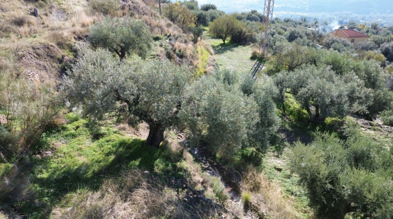 Granada - Órgiva - 7949m2