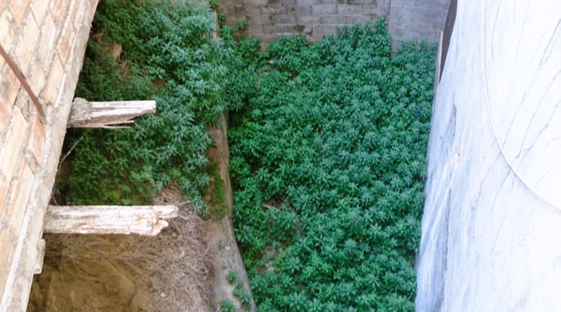 Granada - Órgiva - 850m2