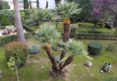 Finca rústica en venta en la España, Segorbe, ref: TR48506 foto