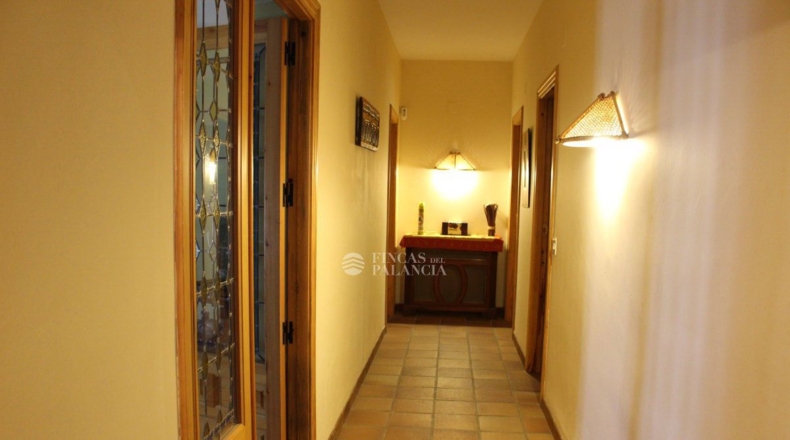 Castellón - Segorbe - 2151m2