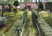 Finca rústica en venta en la España, Segorbe, ref: TR48506 foto