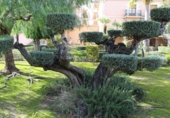 Finca rústica en venta en la España, Segorbe, ref: TR48506 foto