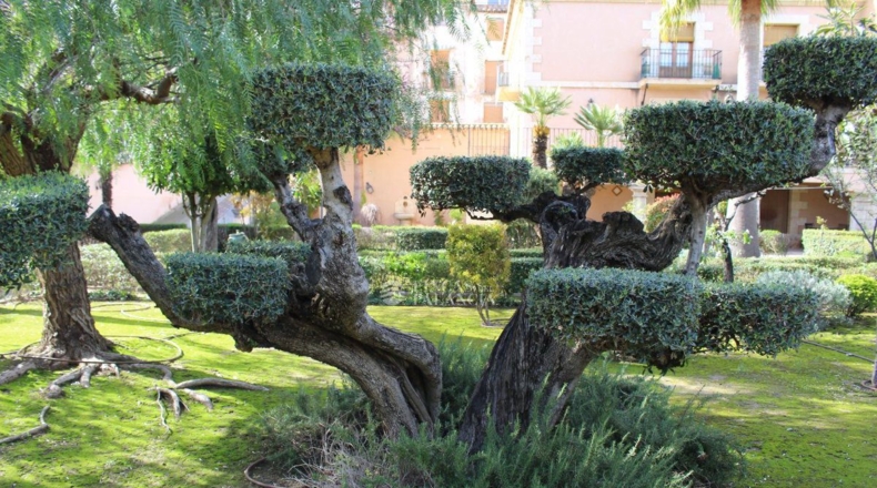 Castellón - Segorbe - 2151m2