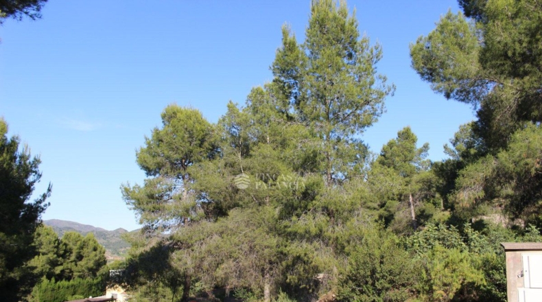 Valencia - Algar de Palancia - 971m2