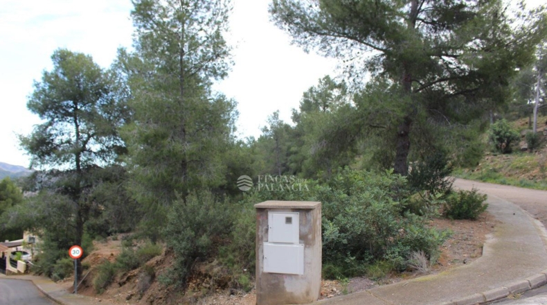 Valencia - Algar de Palancia - 971m2