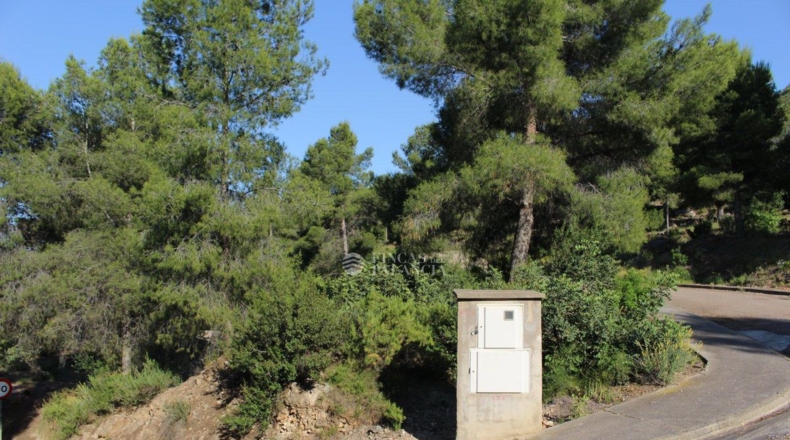 Valencia - Algar de Palancia - 971m2