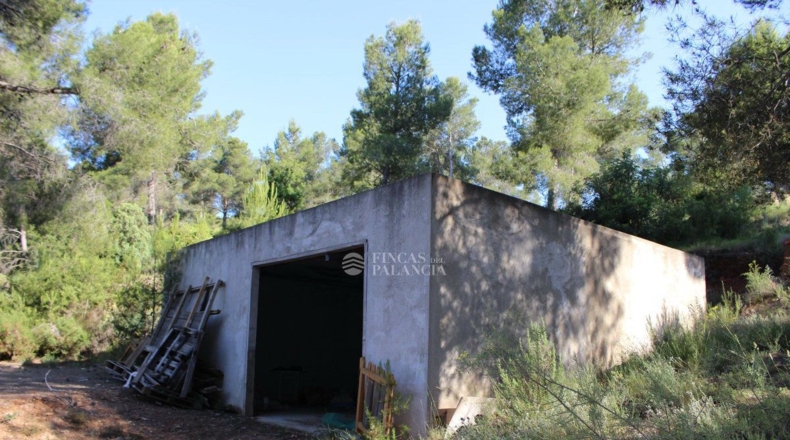 Valencia - Algar de Palancia - 971m2