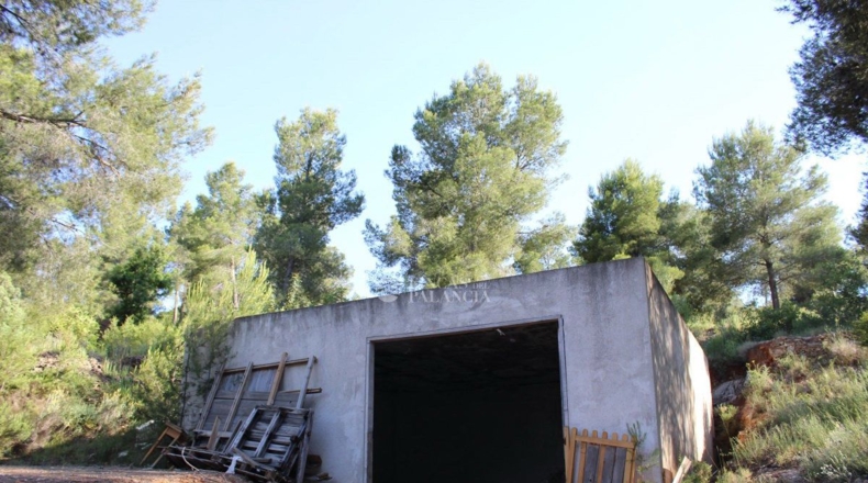 Valencia - Algar de Palancia - 971m2