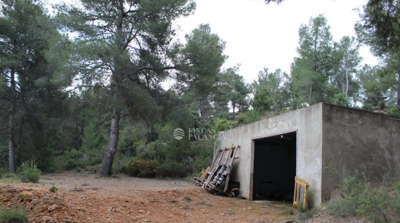 Valencia - Algar de Palancia - 971m2