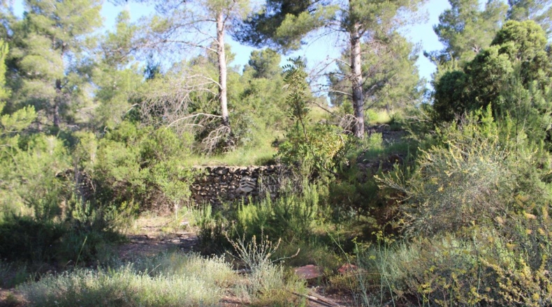 Valencia - Algar de Palancia - 971m2