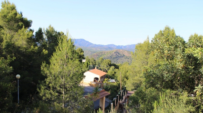 Valencia - Algar de Palancia - 971m2