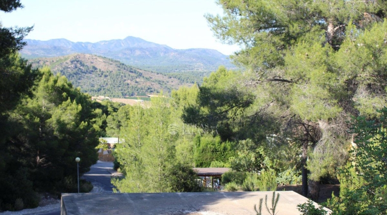 Valencia - Algar de Palancia - 971m2