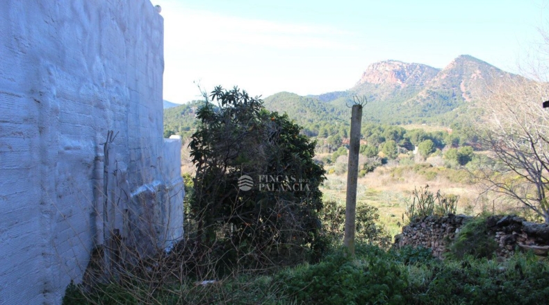 Valencia - Albalat de Tarongers - 162m2