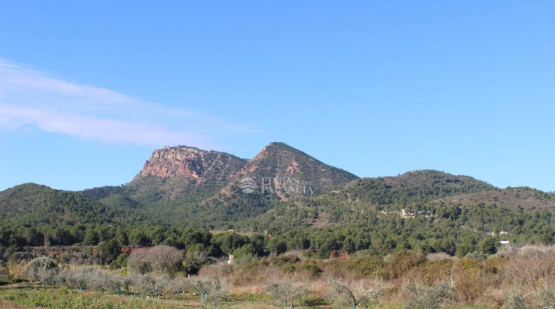Valencia - Albalat de Tarongers - 162m2