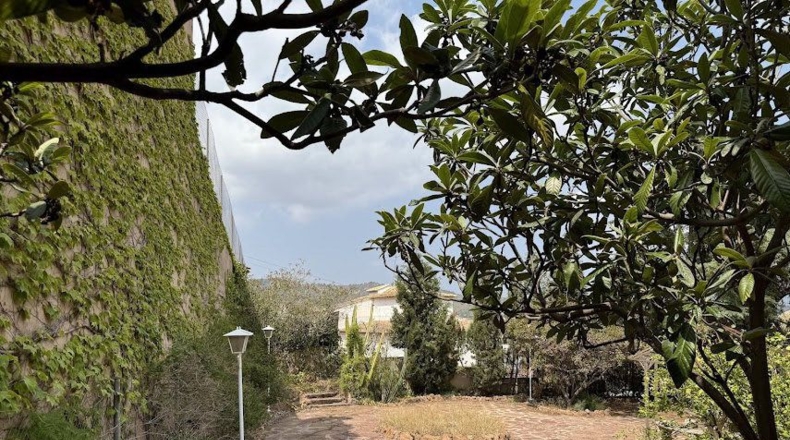 Valencia - Torres Torres - 1800m2