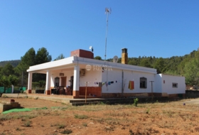 Foto 10