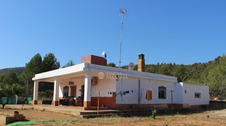 Valencia - Estivella - 1916m2