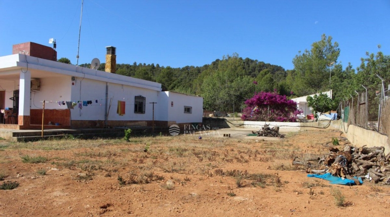 Valencia - Estivella - 1916m2