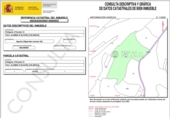 Non-developable land for sale in Algímia d'Alfara ref: TR53998 photo