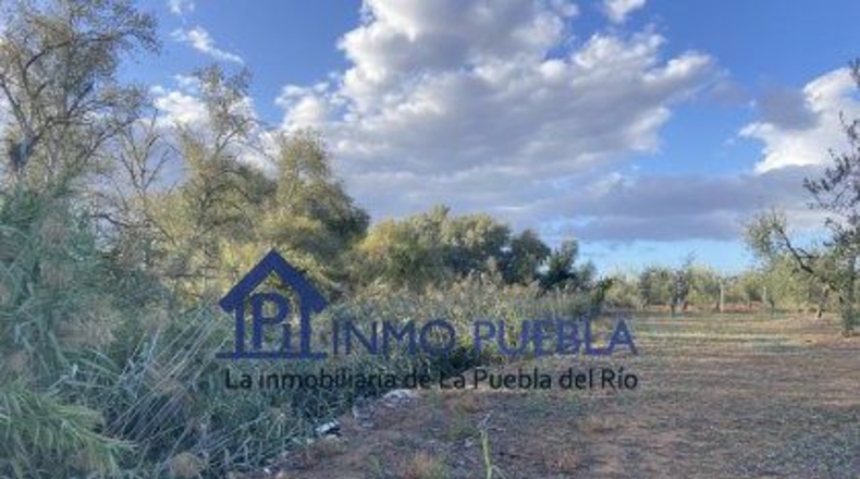 Huelva - Hinojos - 6380m2