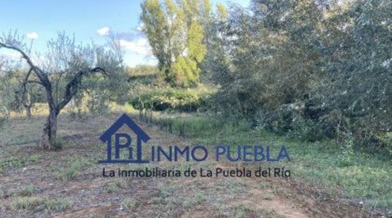 Huelva - Hinojos - 6380m2