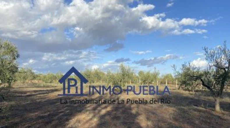 Huelva - Hinojos - 6380m2