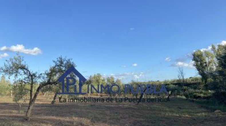 Huelva - Hinojos - 6380m2