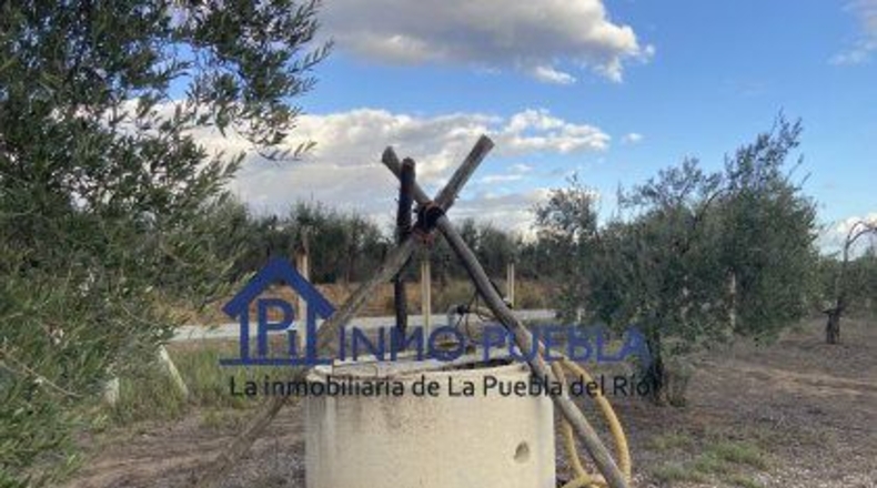 Huelva - Hinojos - 6380m2