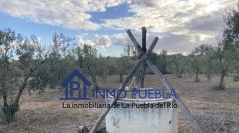 Huelva - Hinojos - 6380m2
