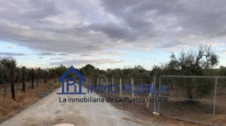 Huelva - Hinojos - 6380m2