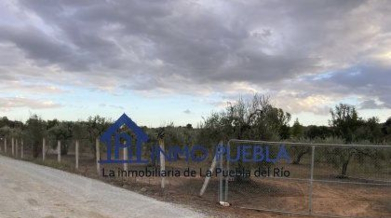Huelva - Hinojos - 6380m2