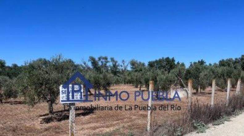 Huelva - Hinojos - 6380m2