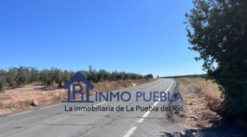 Huelva - Hinojos - 6380m2