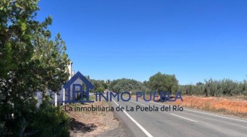Huelva - Hinojos - 6380m2