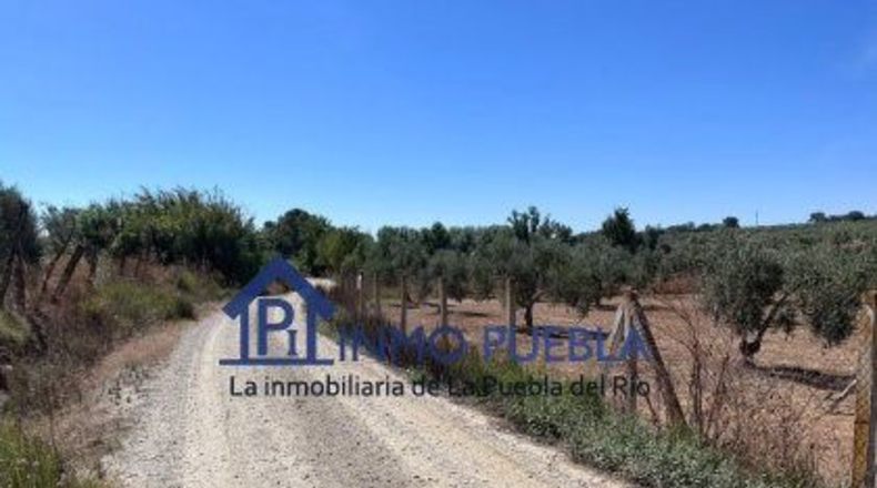 Huelva - Hinojos - 6380m2