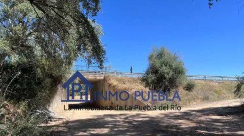 Huelva - Hinojos - 6380m2