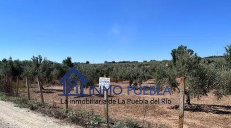 Huelva - Hinojos - 6380m2