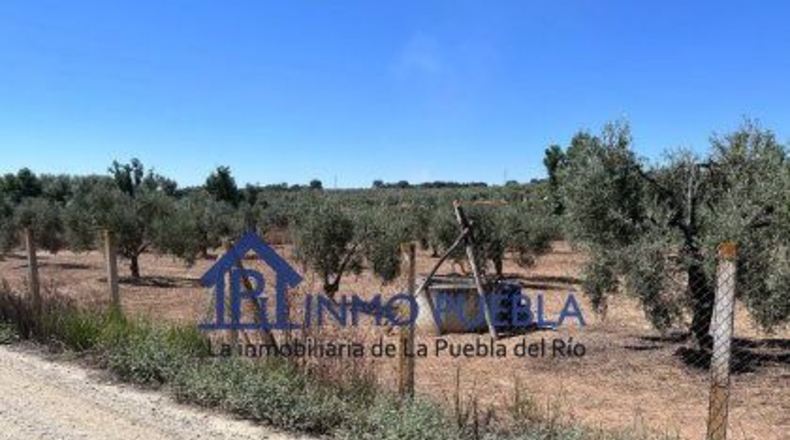 Huelva - Hinojos - 6380m2