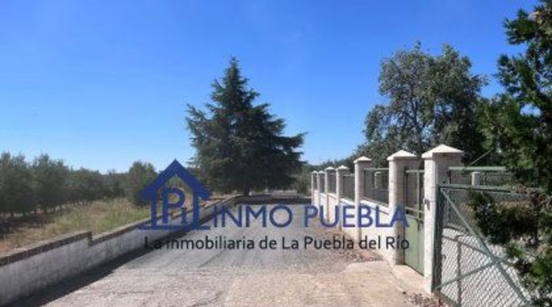 Huelva - Hinojos - 6380m2