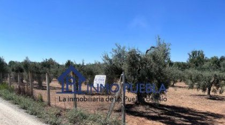 Huelva - Hinojos - 6380m2