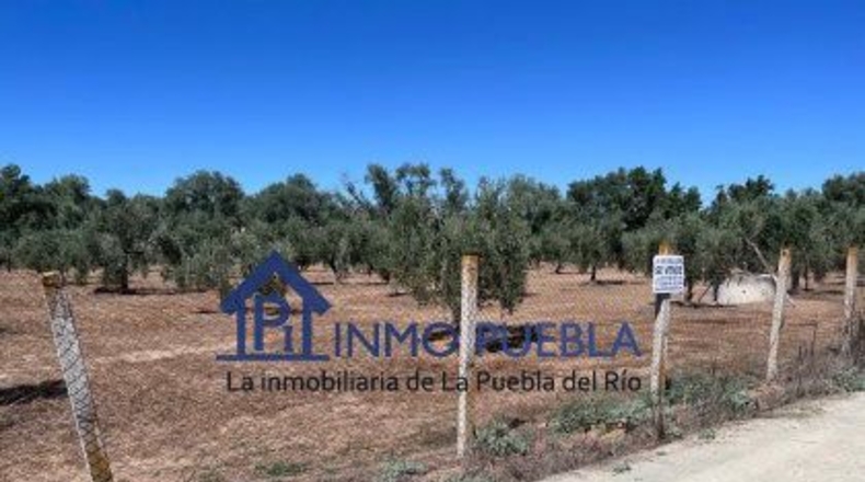 Huelva - Hinojos - 6380m2