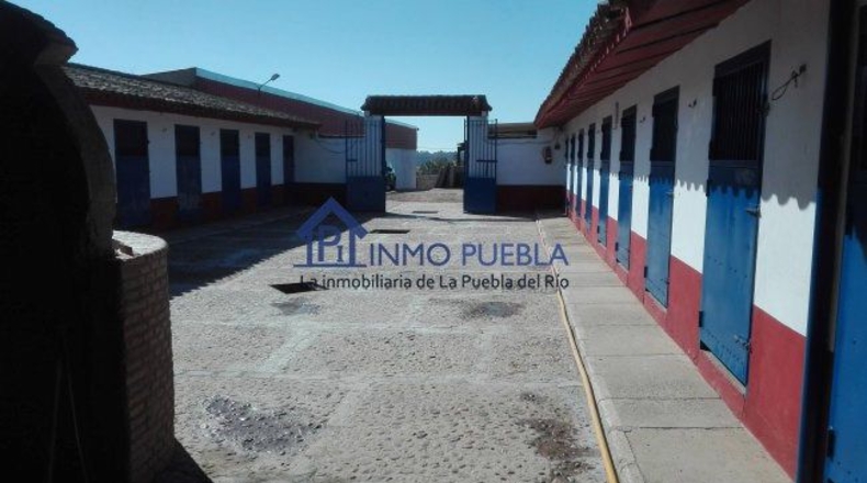 Sevilla - La Puebla del Río - 2000m2